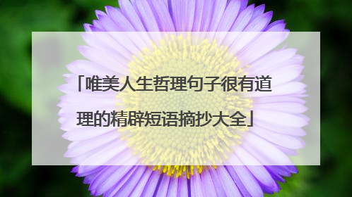 唯美人生哲理句子很有道理的精辟短语摘抄大全