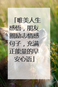 唯美人生感悟，朋友圈励志情感句子，充满正能量的早安心语