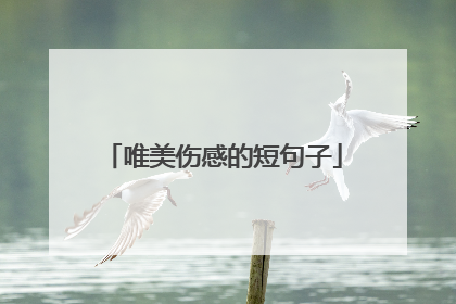 唯美伤感的短句子