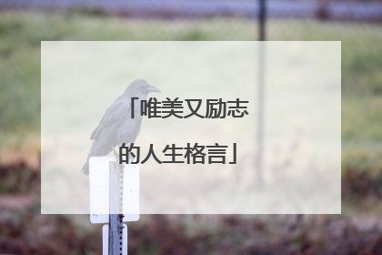 唯美又励志的人生格言