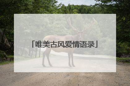 唯美古风爱情语录