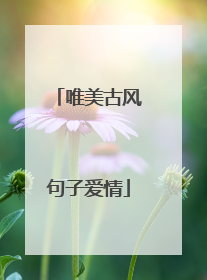 唯美古风句子爱情