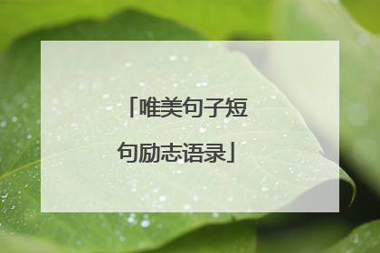 唯美句子短句励志语录