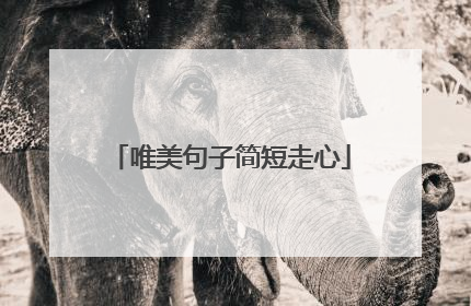 唯美句子简短走心