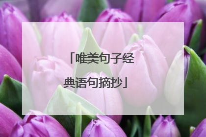 唯美句子经典语句摘抄