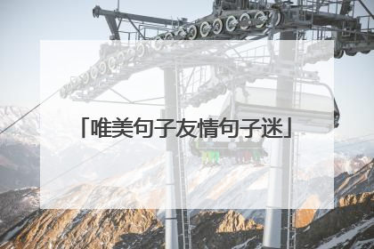 唯美句子友情句子迷