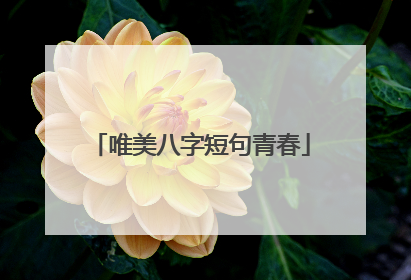 唯美八字短句青春