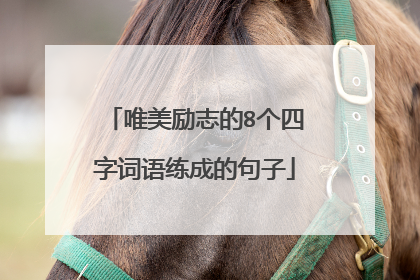 唯美励志的8个四字词语练成的句子