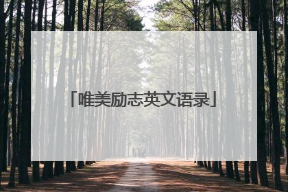 唯美励志英文语录