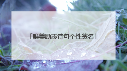 唯美励志诗句个性签名