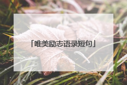 唯美励志语录短句