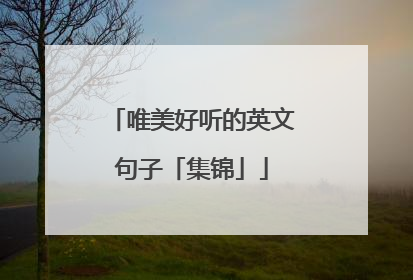 唯美好听的英文句子「集锦」