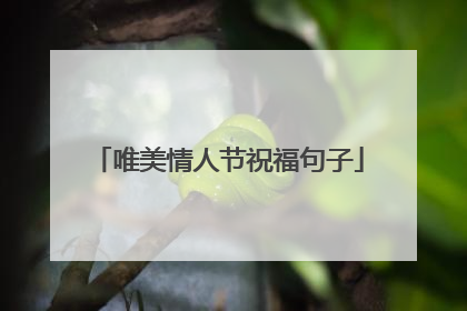 唯美情人节祝福句子