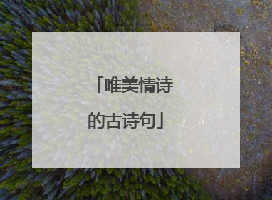 唯美情诗的古诗句