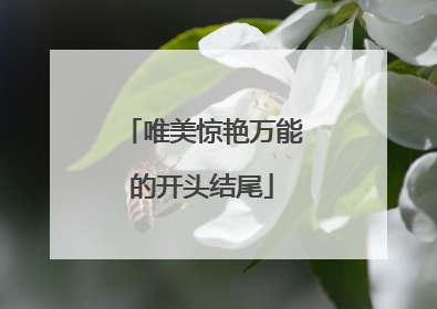 唯美惊艳万能的开头结尾