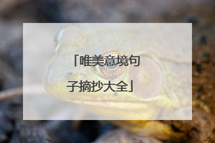 唯美意境句子摘抄大全