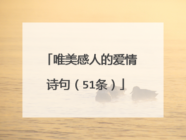 唯美感人的爱情诗句（51条）