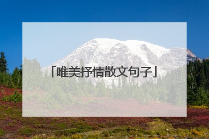 唯美抒情散文句子