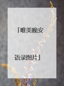 唯美晚安语录图片