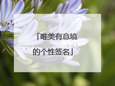 唯美有意境的个性签名