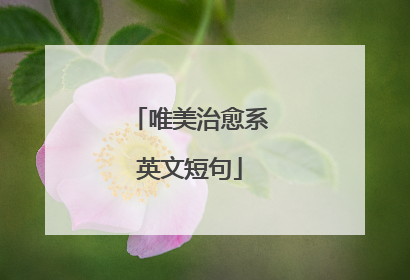 唯美治愈系英文短句