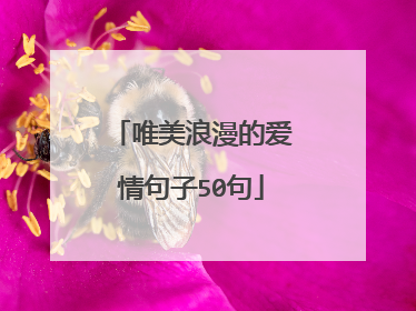 唯美浪漫的爱情句子50句