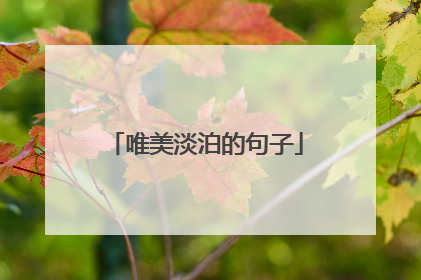 唯美淡泊的句子
