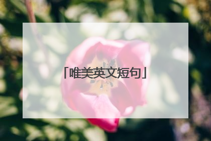 唯美英文短句