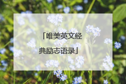 唯美英文经典励志语录