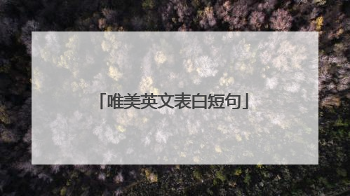 唯美英文表白短句