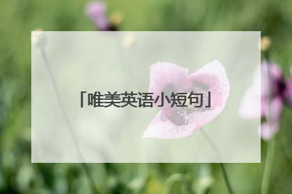 唯美英语小短句