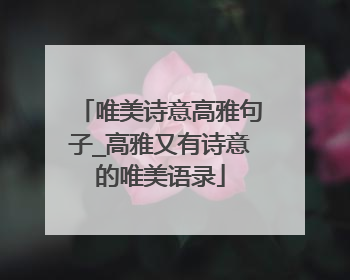 唯美诗意高雅句子_高雅又有诗意的唯美语录