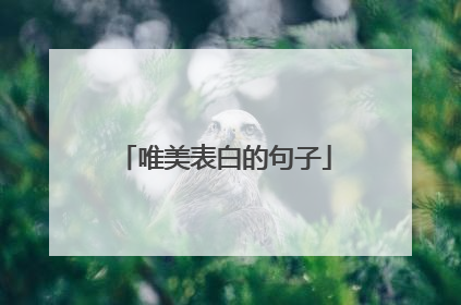 唯美表白的句子
