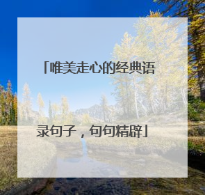 唯美走心的经典语录句子,句句精辟