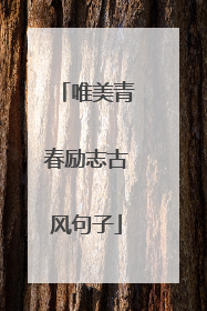 唯美青春励志古风句子