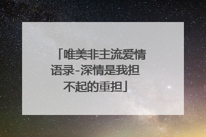 唯美非主流爱情语录-深情是我担不起的重担