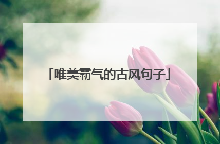 唯美霸气的古风句子