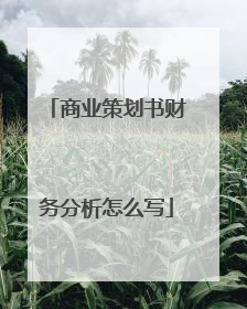 商业策划书财务分析怎么写