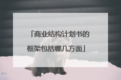 商业结构计划书的框架包括哪几方面