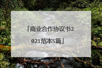 商业合作协议书2021范本5篇