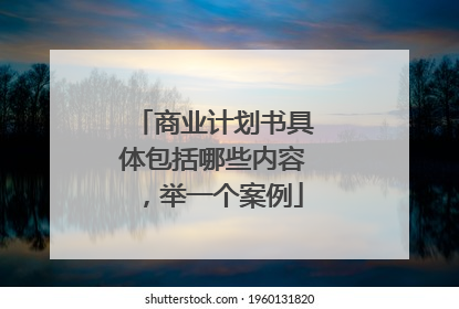 商业计划书具体包括哪些内容,举一个案例