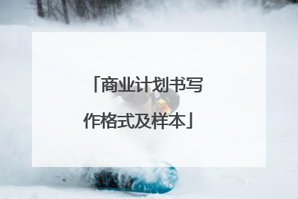 商业计划书写作格式及样本