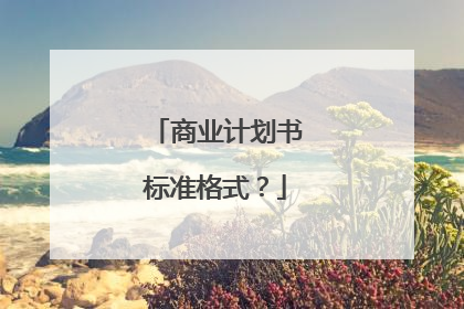 商业计划书标准格式？