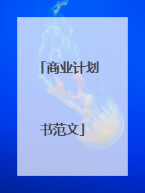 商业计划书范文