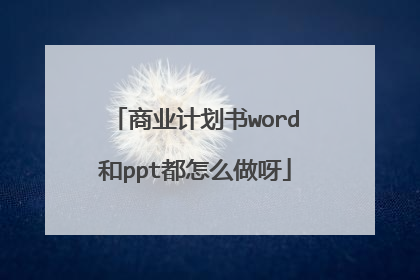 商业计划书word和ppt都怎么做呀