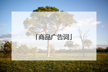 商品广告词