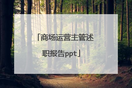商场运营主管述职报告ppt