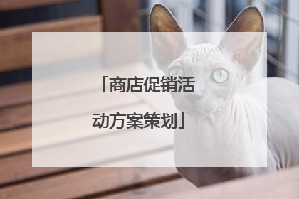 商店促销活动方案策划