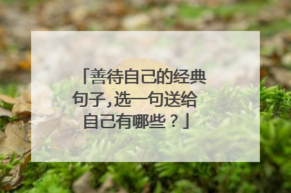 善待自己的经典句子,选一句送给自己有哪些?