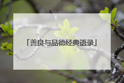 善良与品德经典语录